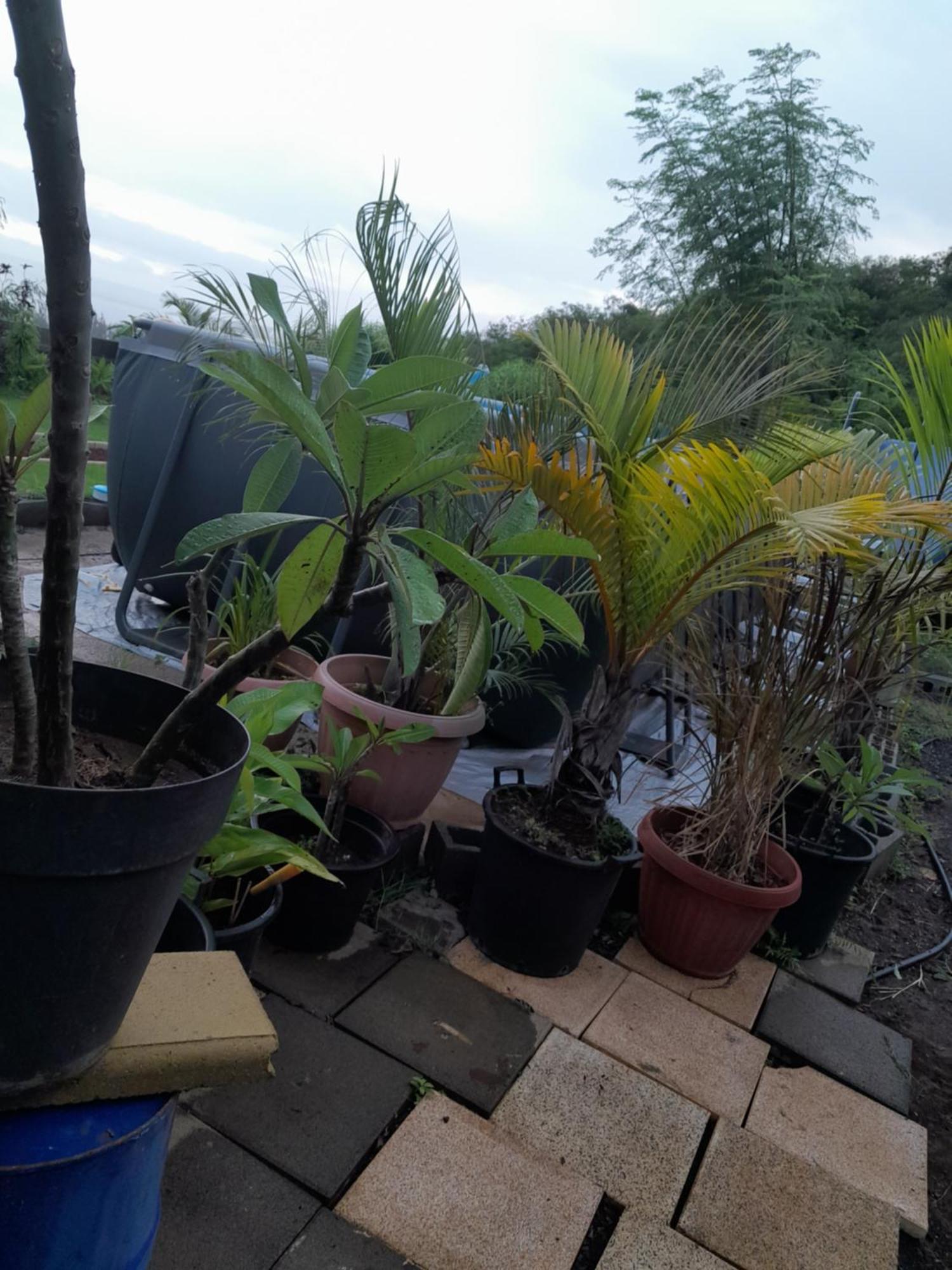 Le Refuge Apartment Saint-Leu Ngoại thất bức ảnh